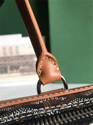 Goyard Saint Martin Handbag In Goyardine Canvas & Chevroches Calfskin