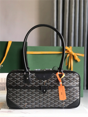 Goyard Saint Martin Handbag In Goyardine Canvas & Chevroches Calfskin