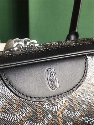Goyard Saint Martin Handbag In Goyardine Canvas & Chevroches Calfskin