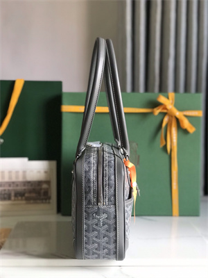 Goyard Saint Martin Handbag In Goyardine Canvas & Chevroches Calfskin