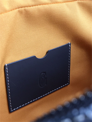 Goyard Saint Martin Handbag In Goyardine Canvas & Chevroches Calfskin