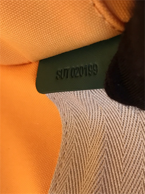 Goyard Saint Martin Handbag In Goyardine Canvas & Chevroches Calfskin