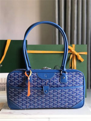 Goyard Saint Martin Handbag In Goyardine Canvas & Chevroches Calfskin