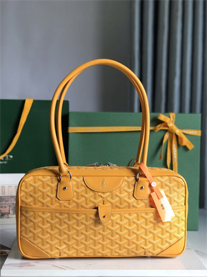 Goyard Saint Martin Handbag In Goyardine Canvas & Chevroches Calfskin