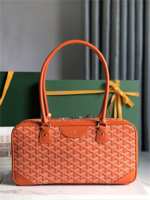 Goyard Saint Martin Handbag In Goyardine Canvas & Chevroches Calfskin