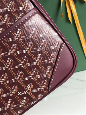 Goyard Saint Martin Handbag In Goyardine Canvas & Chevroches Calfskin