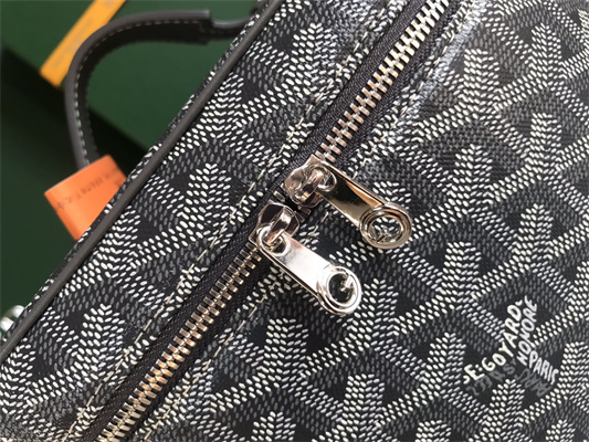 Goyard Muse Vanity Case In Goyardine Canvas & Cervon Calfskin