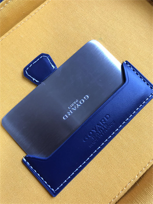 Goyard Muse Vanity Case In Goyardine Canvas & Cervon Calfskin