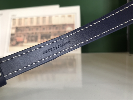 Goyard Muse Vanity Case In Goyardine Canvas & Cervon Calfskin