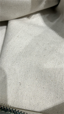 Goyard Bohème Hobo Bag Goyardine Canvas & Chevroches Calfskin