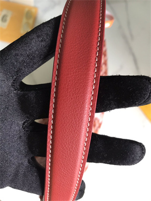 Goyard Bohème Hobo Bag Goyardine Canvas & Chevroches Calfskin