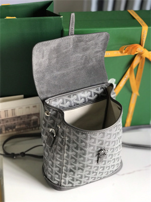 Goyard Alpin Mini Backpack Goyardine Canvas & Chevroches Calfskin