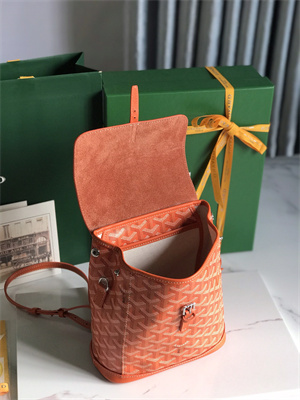 Goyard Alpin Mini Backpack Goyardine Canvas & Chevroches Calfskin