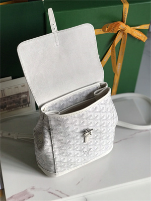 Goyard Alpin Mini Backpack Goyardine Canvas & Chevroches Calfskin