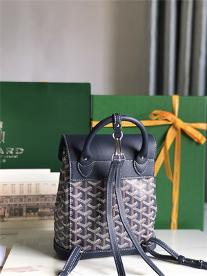 Goyard Alpin Mini Backpack Goyardine Canvas & Chevroches Calfskin