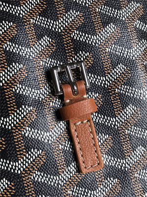 Goyard Alpin Mini Backpack Goyardine Canvas & Chevroches Calfskin