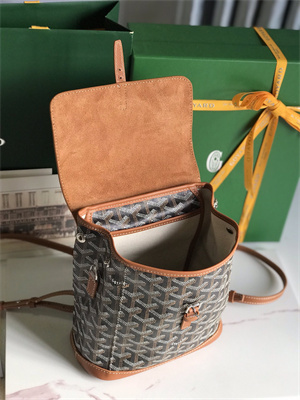 Goyard Alpin Mini Backpack Goyardine Canvas & Chevroches Calfskin