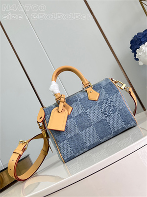 L.V Speedy Bandoulière 25 Damier Denim 3D cotton canvas Blue N40700