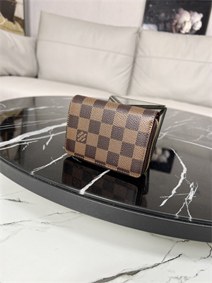 LV  Lou Wallet Damier Ebene Canvas and Smooth Calfskin N81461