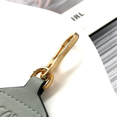 Loewe Anagram strap in jacquard and calfskin