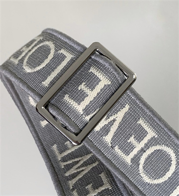 Loewe Anagram strap in jacquard and calfskin