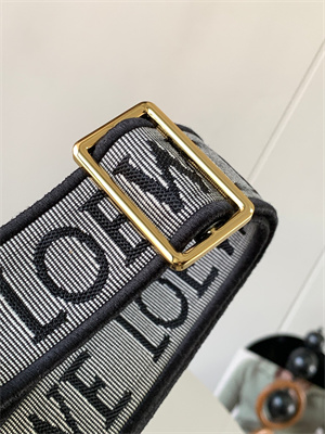 Loewe Anagram strap in jacquard and calfskin