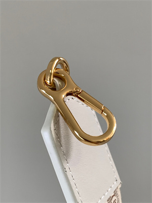 Loewe Anagram strap in jacquard and calfskin