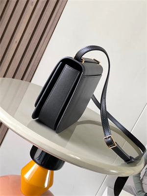 Loewe Goya Bag In Silk Calfskin