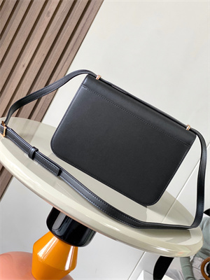 Loewe Goya Bag In Silk Calfskin