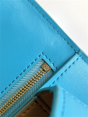 Loewe Goya Bag In Silk Calfskin