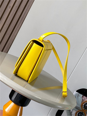 Loewe Goya Bag In Silk Calfskin