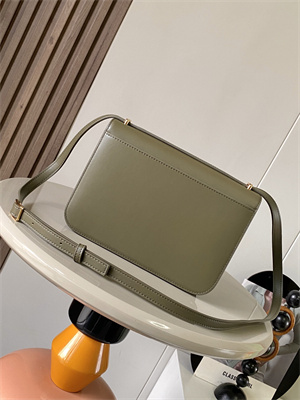 Loewe Goya Bag In Silk Calfskin