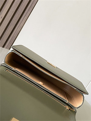 Loewe Goya Bag In Silk Calfskin