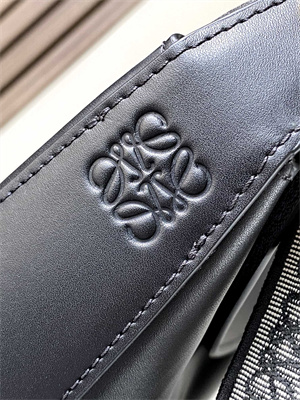 Loewe Luna bag in satin calfskin