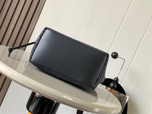 Loewe Cubi Bag In Anagram Jacquard and Calfskin