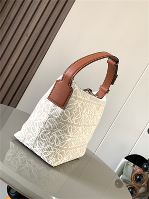 Loewe Cubi Bag In Anagram Jacquard and Calfskin