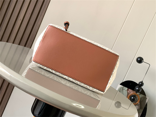 Loewe Cubi Bag In Anagram Jacquard and Calfskin