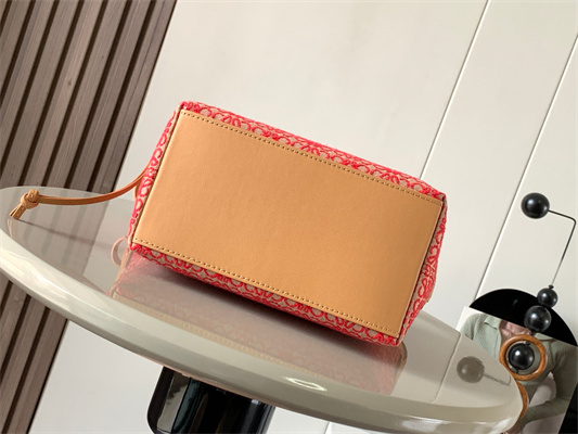 Loewe Cubi Bag In Anagram Jacquard and Calfskin