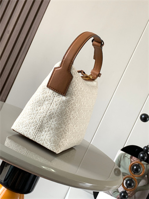 Loewe Cubi Bag In Anagram Jacquard and Calfskin