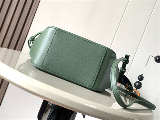 Loewe Mini Hammock Hobo bag in classic calfskin