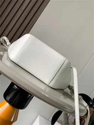 Loewe Mini Hammock Hobo bag in classic calfskin