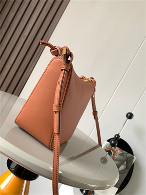 Loewe Mini Hammock Hobo bag in classic calfskin