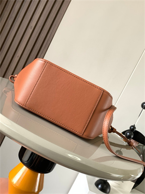 Loewe Mini Hammock Hobo bag in classic calfskin