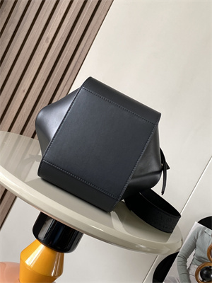 Loewe Compact Hammock bag in satin calfskin With Jacquard Strap