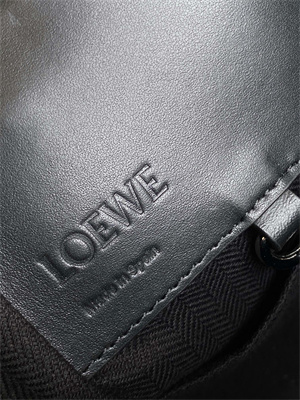 Loewe Compact Hammock bag in satin calfskin With Jacquard Strap
