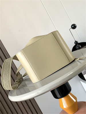 Loewe Compact Hammock bag in satin calfskin With Jacquard Strap