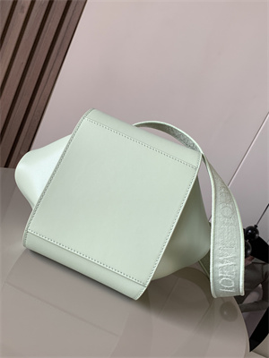 Loewe Compact Hammock bag in satin calfskin With Jacquard Strap