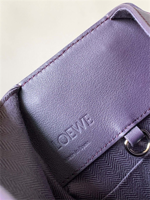 Loewe Compact Hammock bag in satin calfskin With Jacquard Strap