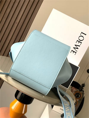 Loewe Compact Hammock bag in satin calfskin With Jacquard Strap