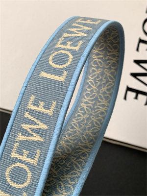 Loewe Compact Hammock bag in satin calfskin With Jacquard Strap